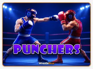 Play Punchers